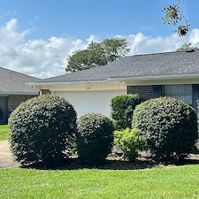 Revitalize-Your-Landscape-with-Professional-Bush-Trimming-Niceville-FL 1